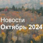 Новости iRidi. Что нового в октябре?